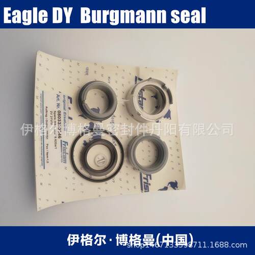 弗里森泵FZ7KA446配套F机封ristam 08品21320122原装正现货2N5V1
