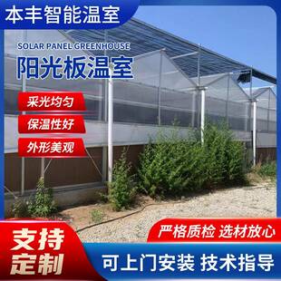 蔬菜大棚生态餐厅阳光板温室园林种植大棚工程建设阳光温室大棚