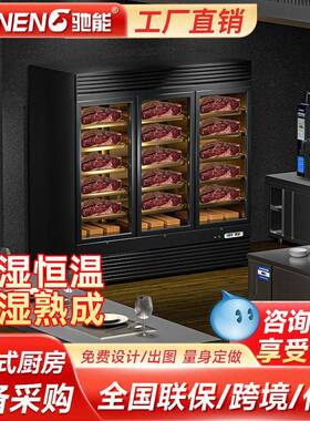 驰能商用牛排熟成柜风干式牛肉排酸展示柜西餐厅风冷保鲜冷藏冰箱