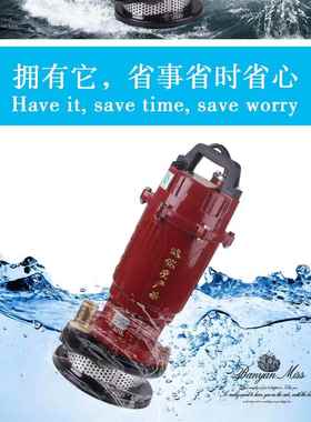 单相潜水泵泵220家用自吸高RSX扬程水农用排抽污泵灌溉污水V泵抽