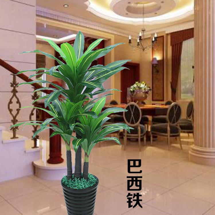 新款室内落地塑料假树绿植盆栽热带仿真植物巴西铁巴西木盆栽