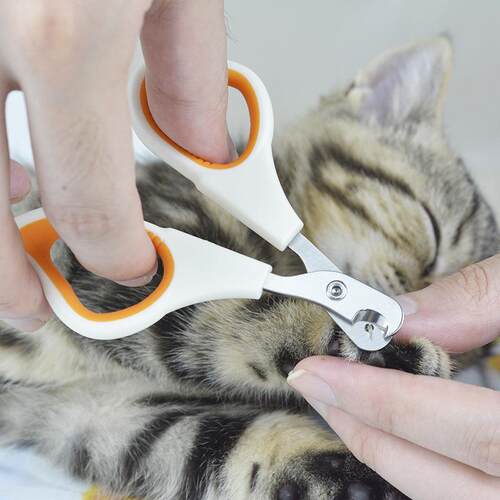 猫咪指甲剪专用小型宠物通用防血线宠物防抓伤猫狗指甲钳圆孔剪