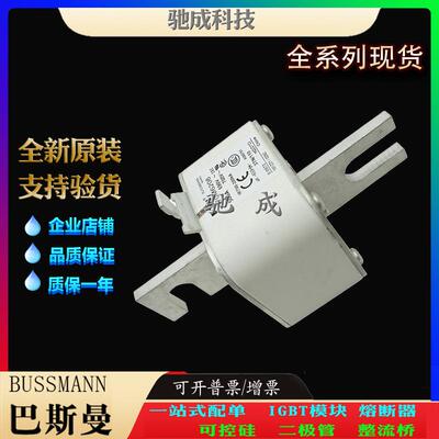 巴斯曼170M6207 170M6208 170M6209 长期出厂价格 快熔保险丝