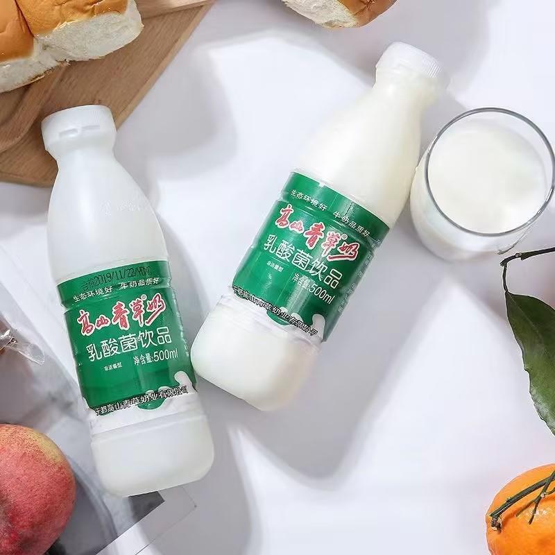 江西赣州于都高山青草奶500ml瓶乳酸菌饮品早餐酸奶屏山牧场牛