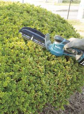 牧田牧田充电绿篱机锂电10.8V篱笆机小型修枝机UH200修剪机电动工