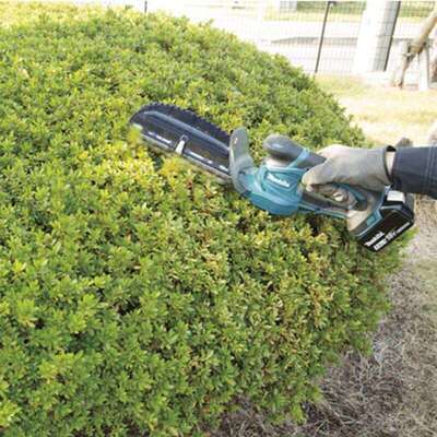 牧田牧田充电绿篱机锂电10.8V篱笆机小型修枝机UH200修剪机电动工