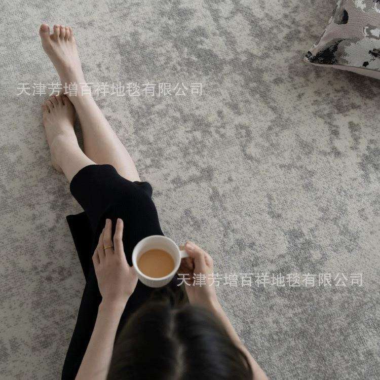 土耳其丙纶客厅地毯高级灰色沙发茶几毯极简现代轻奢满铺卧室毯