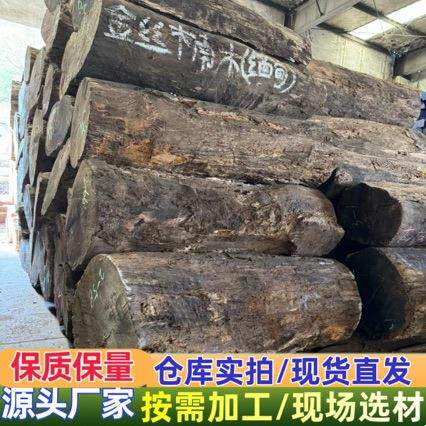 四川金丝楠木缅甸金丝楠黄芯楠原木大板木料小叶帧楠纹理美丽