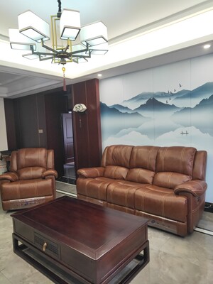 乐至宝沙发怎么样（前车之鉴）有必要告诉大家真相