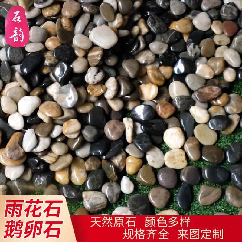 厂家直供天然光高光无品牌/混色五彩雨鹅卵石园林哑景观铺路石鱼