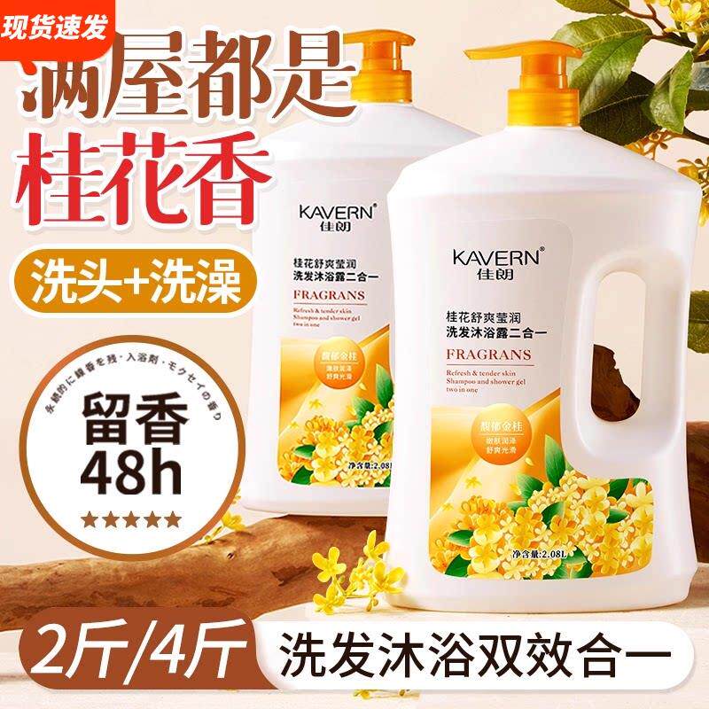 桂花香氛沐浴露洗发水二合一滋润保湿留香男女洗发控油蓬松家庭装