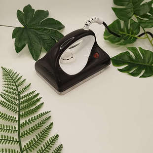 滑雪板打蜡熨斗电熨铁溶蜡增速熨蜡雪板增速保养打蜡滑雪板保养工