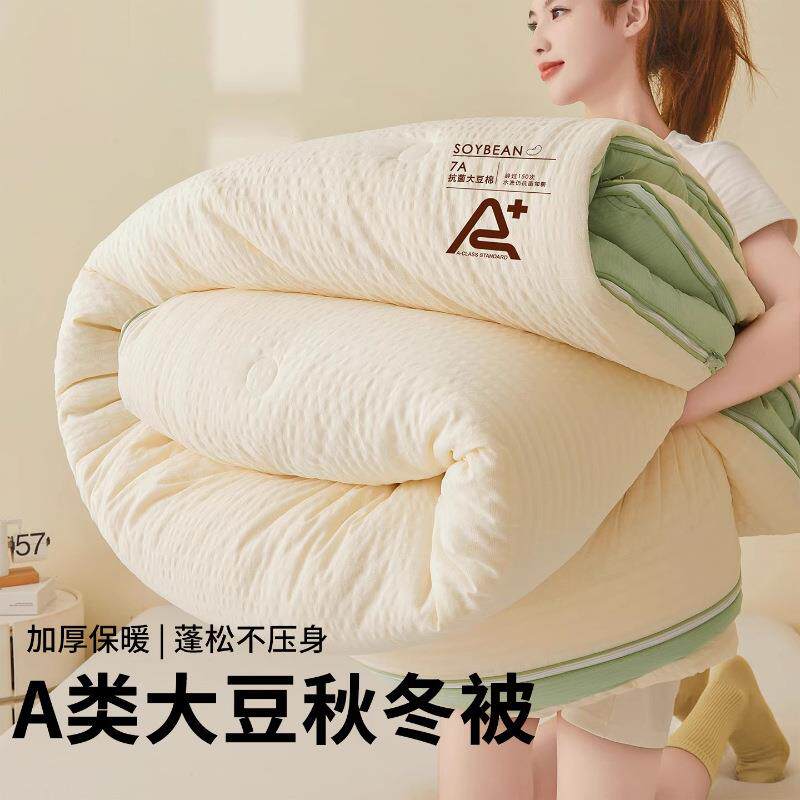 a类大豆纤维子母被二合一家用春秋被加厚款冬被被芯学生宿舍被子