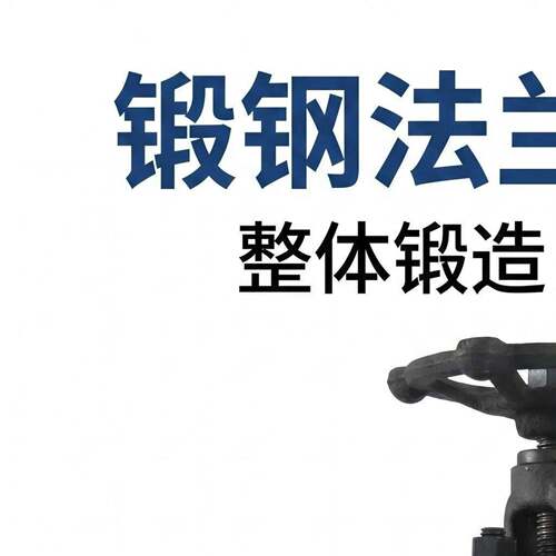 锻钢法兰截止阀 A105整体锻造耐压防漏工业级 J41H-25RF/40FM闸阀