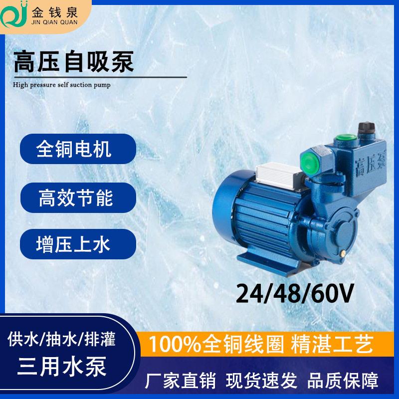 扬程24v压泵无堵塞吸水抽水48/60v自吸泵排灌楼供水抽水泵