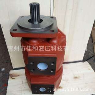 压路机双联泵洛建压路机液压泵CBZ2080 2032