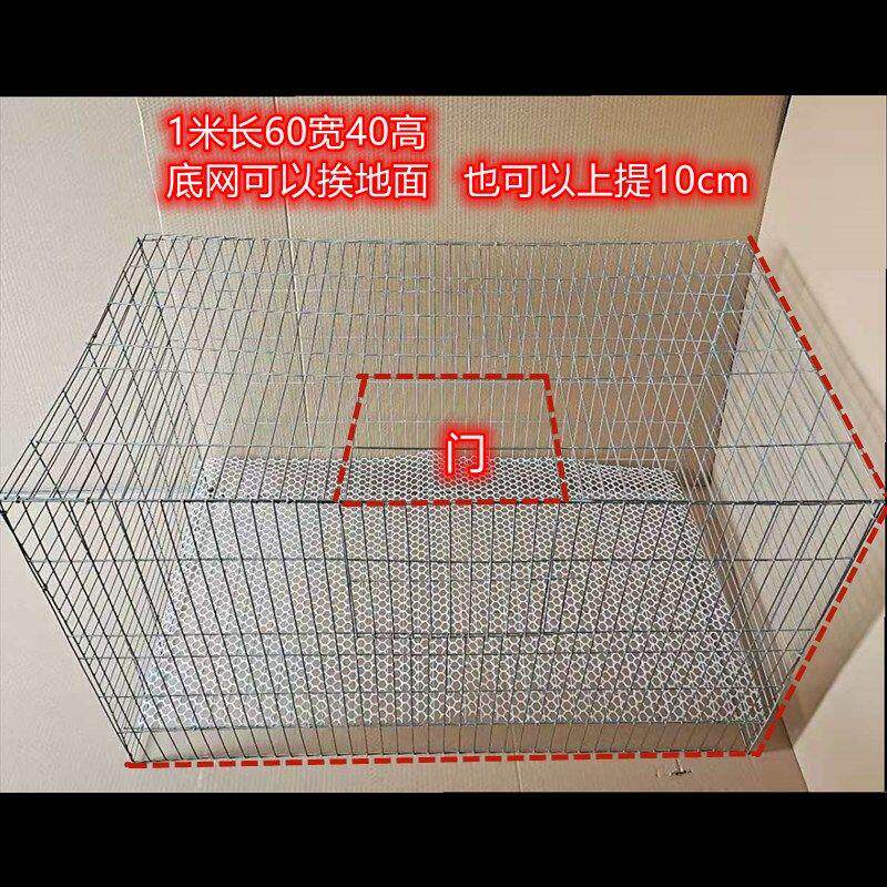 。鸽子笼家用配对养殖繁殖笼子小号大号小大型白鸽信鸽折叠清仓鸽