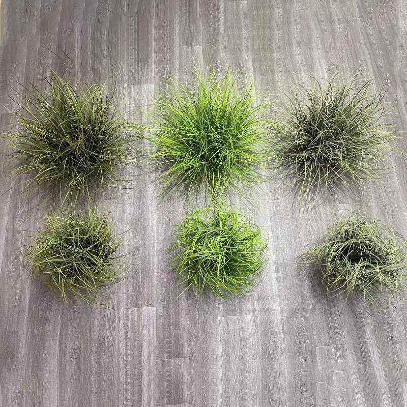 店铺装饰摆件假草堆景观芦苇草灌木草绿植园仿真植物造景仿真草垛