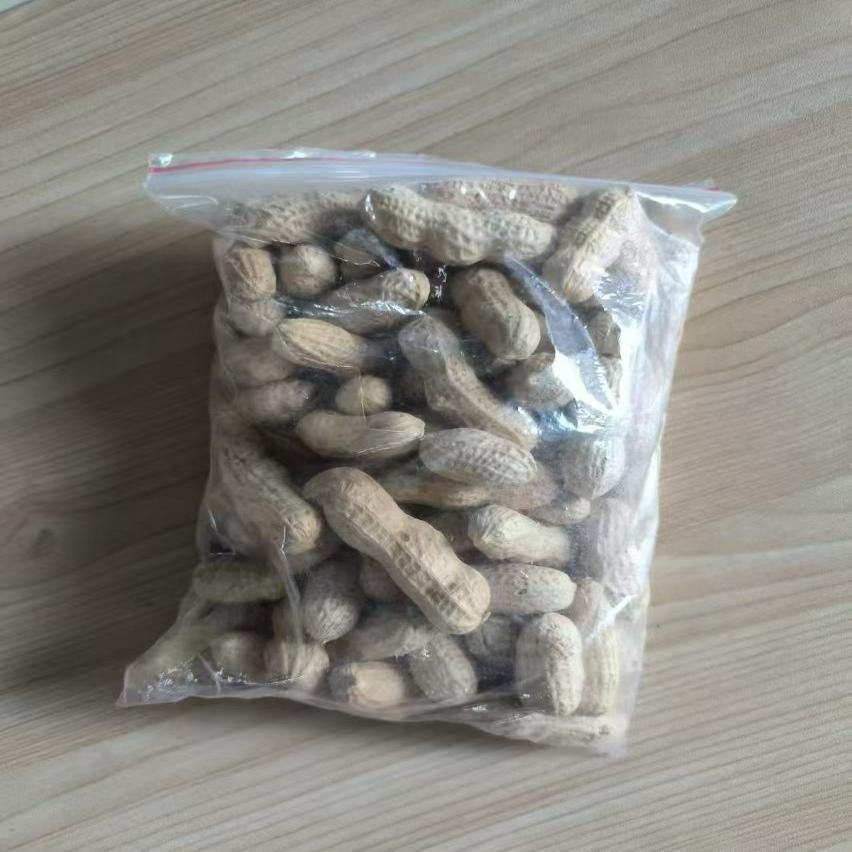 蔬菜罐育苗盆发芽盆豆芽机发豆芽专用盆神器黄绿豆芽罐家用大容量