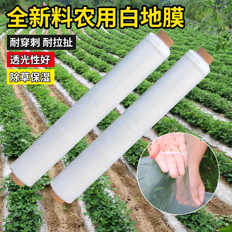 农用地膜种植加厚抗老化塑料薄膜除草保温保湿防草耐拉扯小拱棚膜