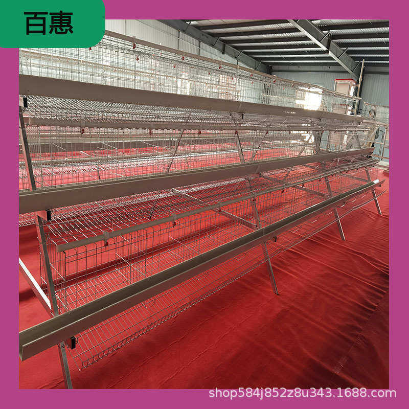 蛋鸡笼阶梯式三层四门蛋鸡笼 镀锌防锈养殖设备厂家直销售后无忧,机械设备,农业机械/园林设备/畜牧设备,淘宝优惠券,粉丝福利购,淘宝优惠卷