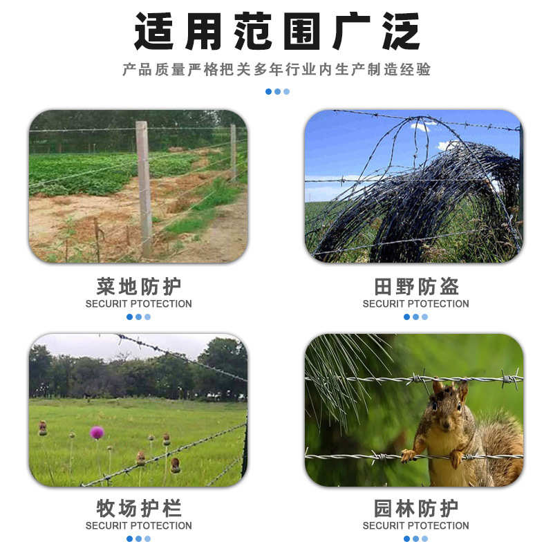 热镀锌双股刺绳圈地带刺围墙防爬网不锈钢刺绳防爬防盗带刺铁丝网