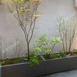 不锈钢花箱户外组合隔断灯光台阶转角露台花架楼顶庭院种菜种植箱