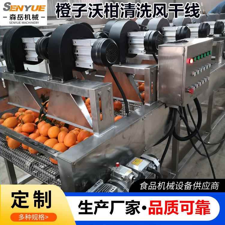 橙子清洗风干机果蔬清洗沥水机水果清洗打蜡烘干机包装袋吹干机
