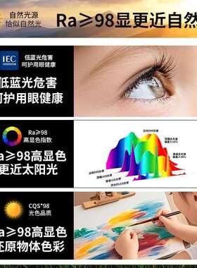 原木纹射灯复古中式胡桃木客厅小吸顶明装可调角度led全光谱筒灯