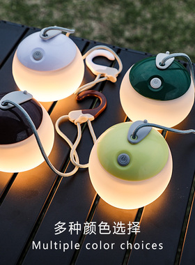 野营灯露营灯c充电户外灯照明氛围灯LED防水Typef高亮冷暖挂灯无