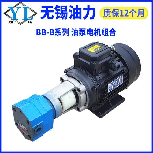 摆线齿轮油泵BB-B2.51016253240506380125Y液压油泵体自吸