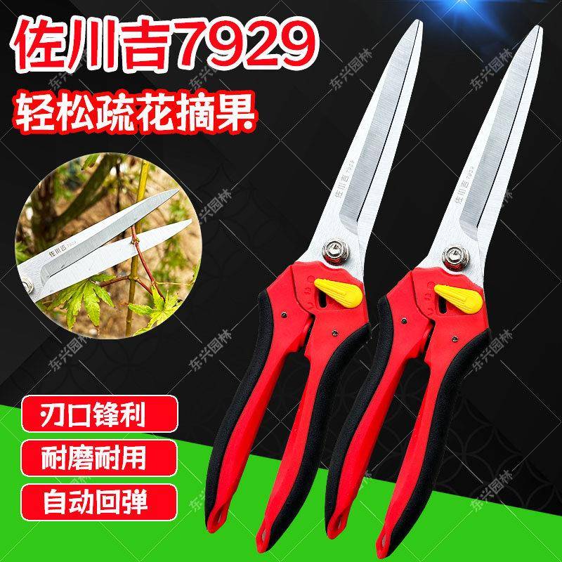 台湾佐川吉7929加长剪TIGER修枝剪采摘果剪稀果整枝疏果花树盆景