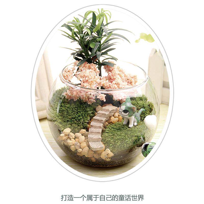 苔藓微景观 创意礼品摆件 苔藓花瓶