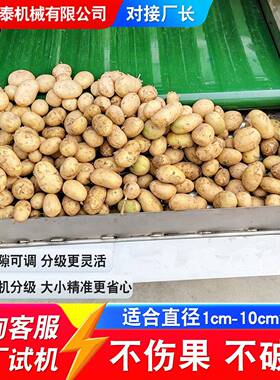 土豆洋芋滚杠分级机不锈钢红苕滚杠式分级机全自动沃柑分选设备