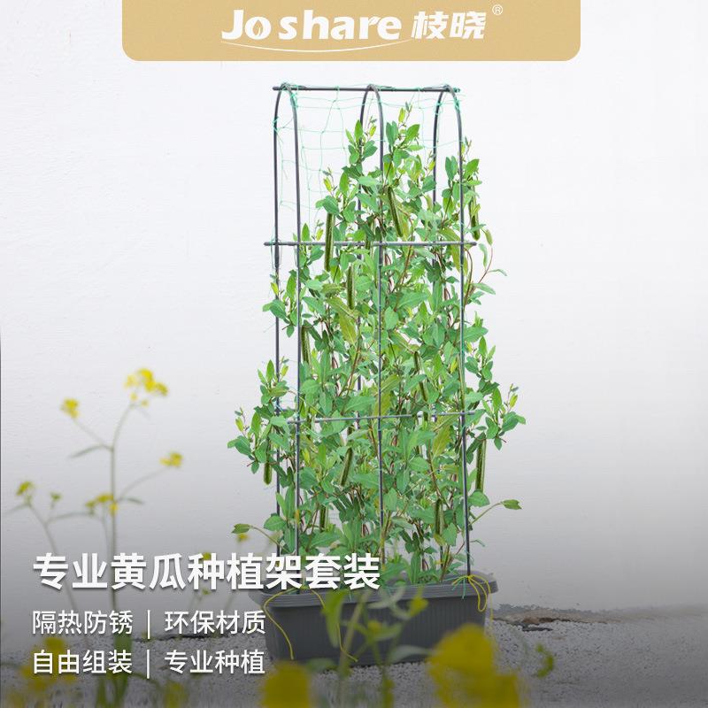 枝晓 菜园西红柿支撑杆户外庭阳台院蔷薇爬藤架 黄瓜种植架套装