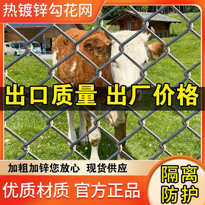 热镀锌丝网格养殖围栏铁牛羊鸡鸭圈果勾园隔离防护钢丝网防锈花网