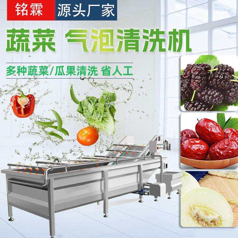 桑葚干枣清洗机全自动中央厨房清洗流水线香瓜气泡清洗机设备
