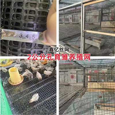加厚圈玉米网塑料围栏网黑色养鸡鸭特厚小孔网拦鸡漏粪网栅栏护