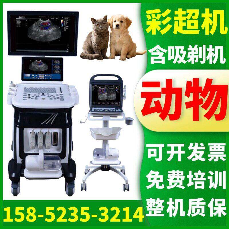 便携式兽用彩超机厂家_宠物心脏彩超机_猪马牛羊B超机厂家-新玛