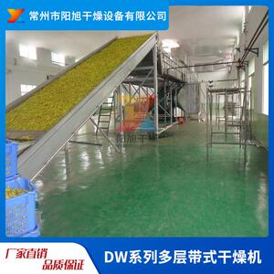 DW大型多层带式干燥机脱水蔬菜中药材带式干燥设备厂家