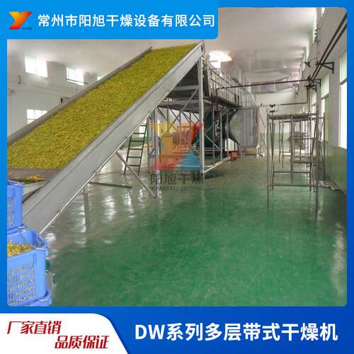 DW大型多层带式干燥机脱水蔬菜中药材带式干燥设备厂家
