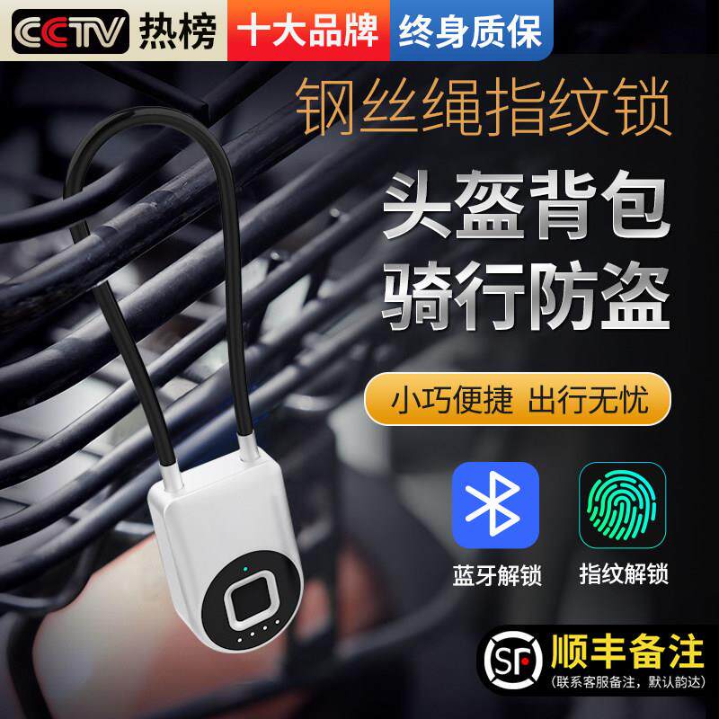 钢丝挂锁密码锁电动车安全帽锁防盗固定小锁指纹车筐自行车锁具大