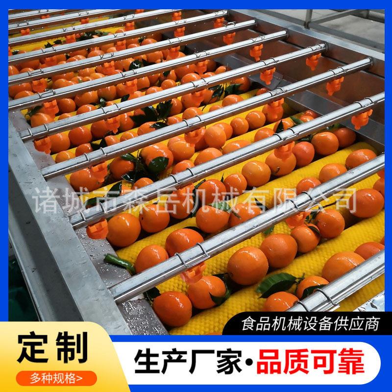 柠清果洗打檬蜡机柑橘清洗选果机水果清洗打蜡分级设备柚子洗机
