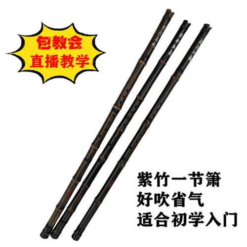 管子先生紫竹一节洞萧普及箫新手入门演奏萧初学潇八孔洞萧GF调