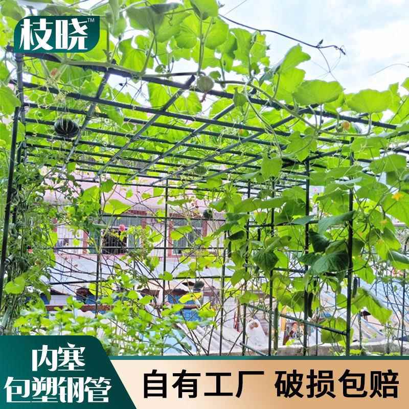 户外月季隔断花架铁线莲爬藤架网格植物攀爬支架花园围墙铁艺栅栏