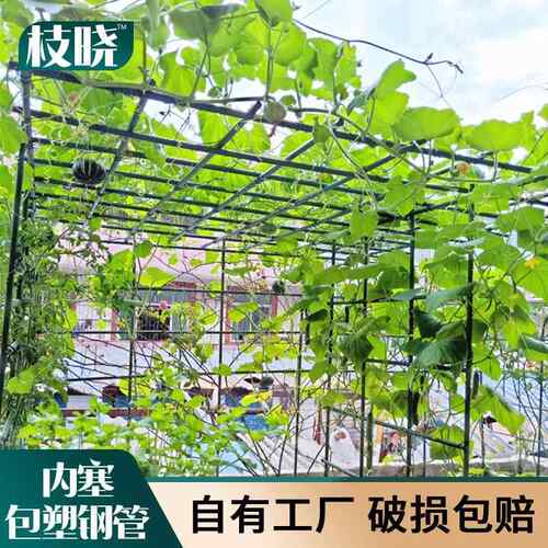 户外月季隔断花架铁线莲爬藤架网格植物攀爬支架花园围墙铁艺栅栏