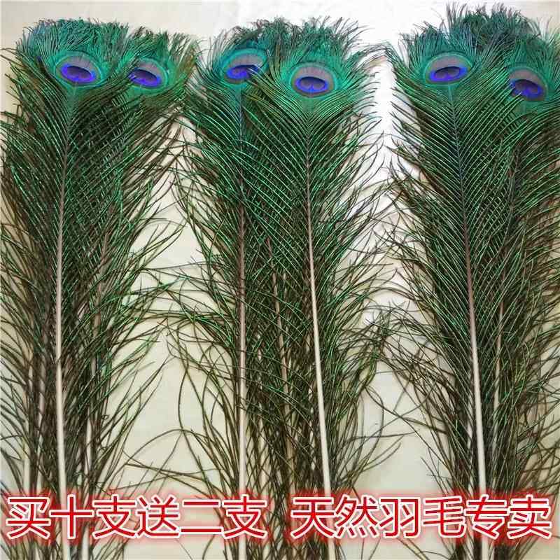 家居饰品摆饰孔雀羽毛纯天然真孔雀毛花瓶装饰品孔雀翎尾婚庆羽毛