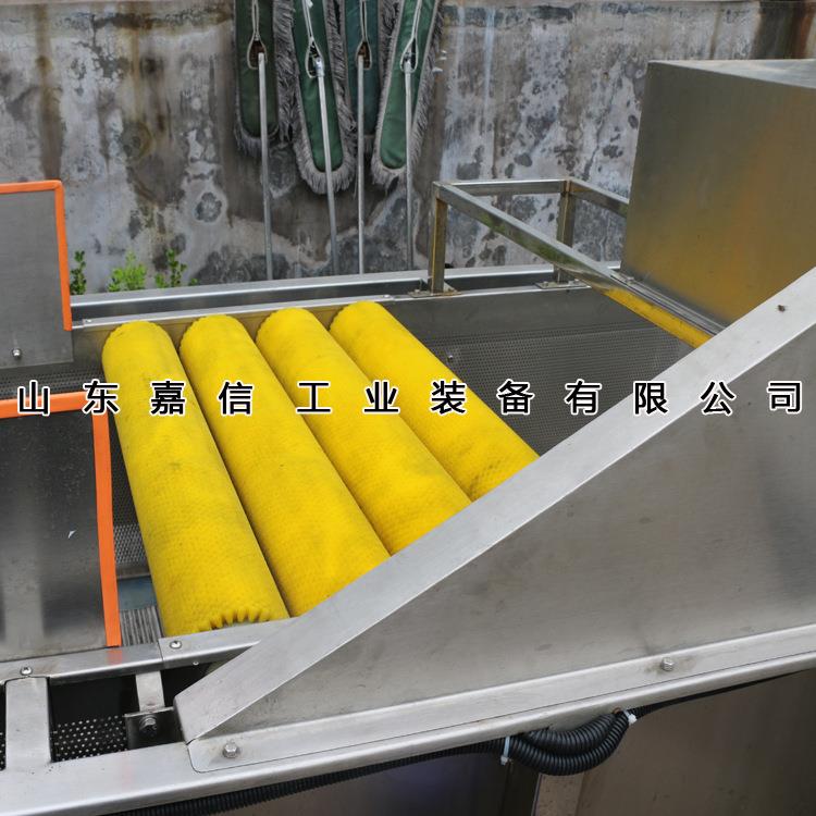 果蔬超声波清洗机气泡清洗机玉米粒翻浪清洗机油桃毛桃洗菜机
