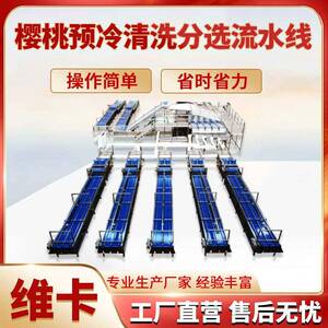 车厘子无损直径分选机小型滚杠式果径分拣机樱桃小番茄分