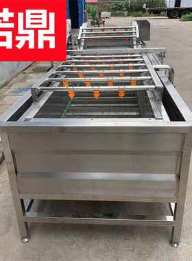 大型洗机菜 全自RTM动连续清洗机现货 香菇洗清速冻机格 诺价鼎